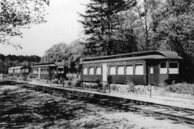 119454 Afbeelding van enkele rijtuigen van de N.S. als noodwoningen langs de spoorlijn Bilthoven-Zeist te Huis ter ...